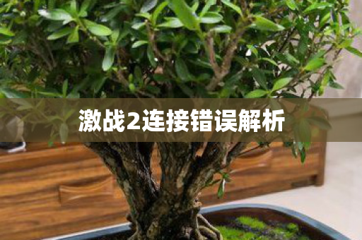 激战2连接错误解析图片