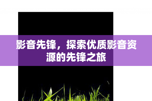 探索优质影音资源的先锋之旅图片