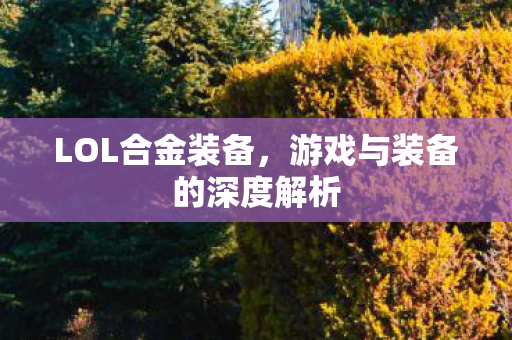 游戏与装备的深度解析图片