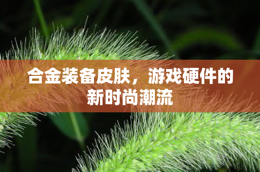 游戏硬件的新时尚潮流图片