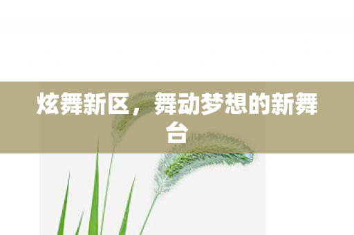 舞动梦想的新舞台图片