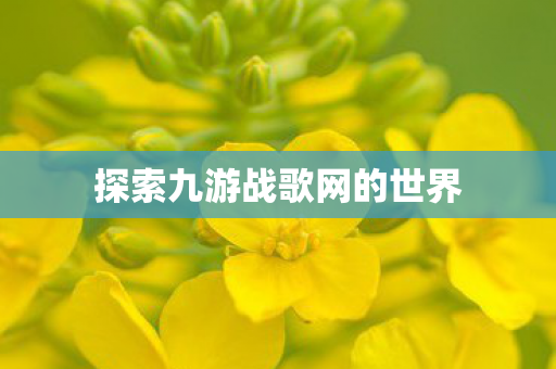 探索九游战歌网的世界图片