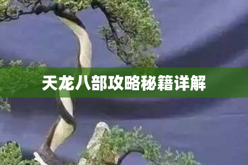 天龙八部攻略秘籍详解图片
