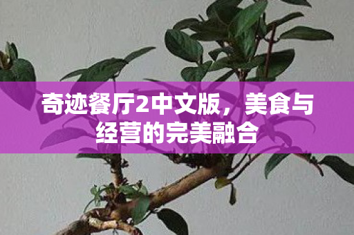 美食与经营的完美融合图片