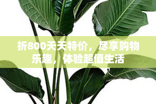 折800天天特价图片