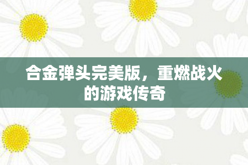 重燃战火的游戏传奇图片