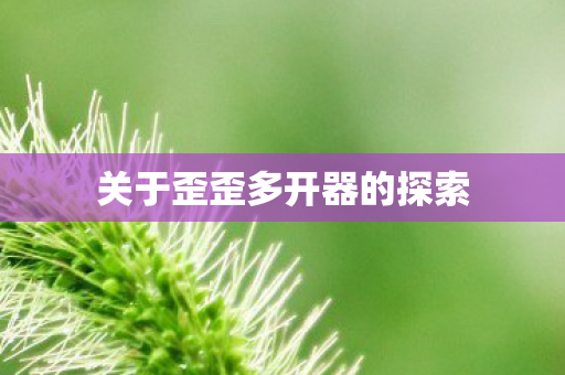 关于歪歪多开器的探索图片