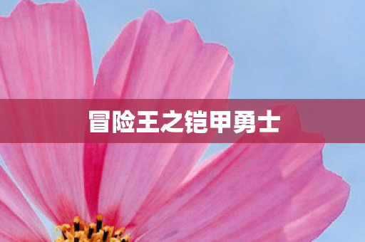 冒险王之铠甲勇士图片