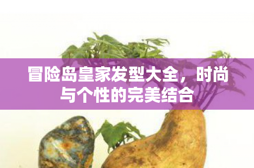 时尚与个性的完美结合图片