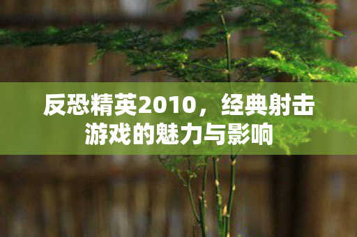 经典射击游戏的魅力与影响图片