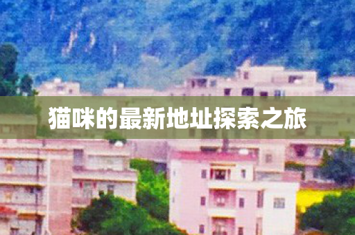 猫咪的最新地址探索之旅图片