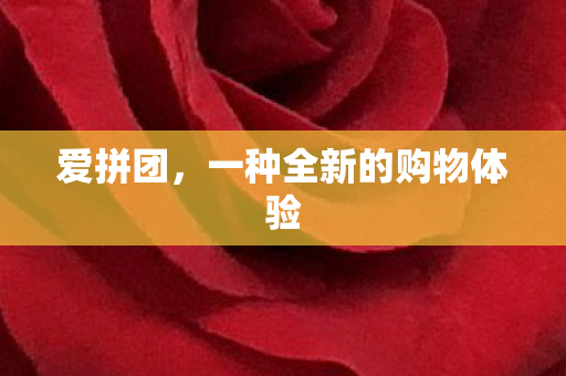 一种全新的购物体验图片