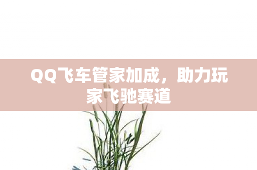 QQ飞车管家加成图片