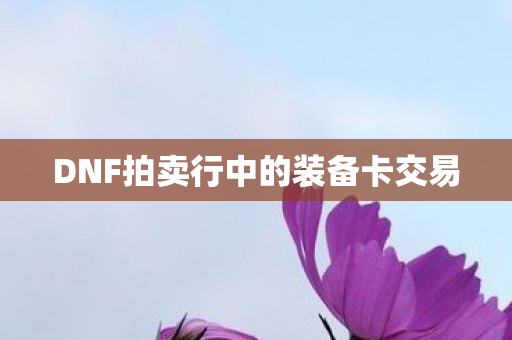 DNF拍卖行中的装备卡交易图片