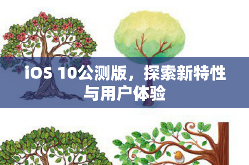 探索新特性与用户体验图片