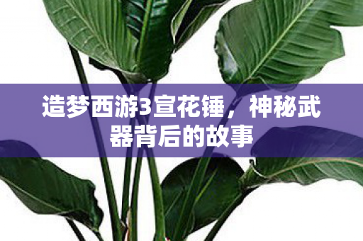 神秘武器背后的故事图片