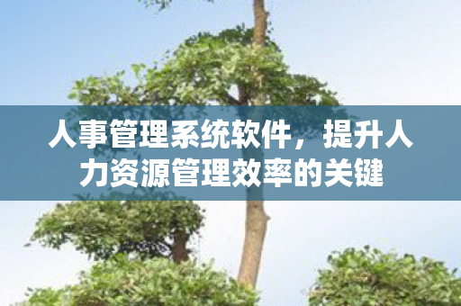 提升人力资源管理效率的关键图片