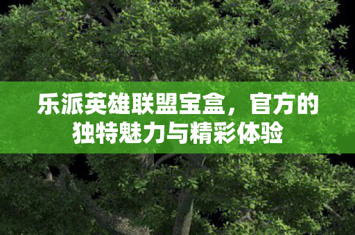 官方的独特魅力与精彩体验图片