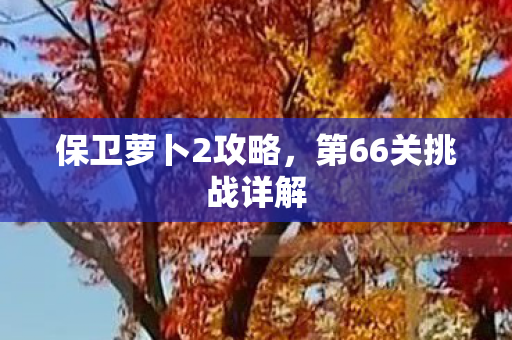 第66关挑战详解图片