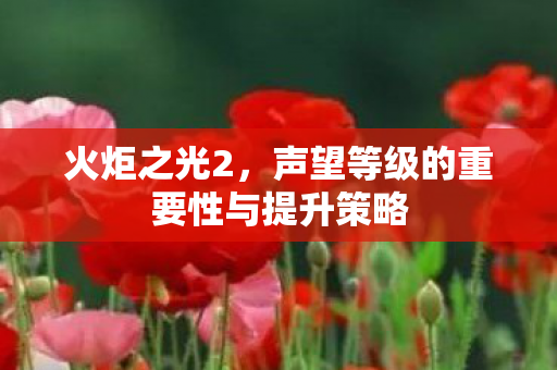 声望等级的重要性与提升策略图片