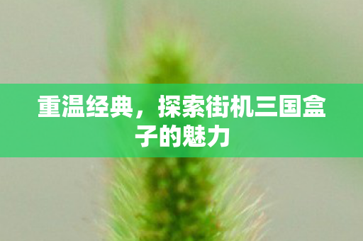 探索街机三国盒子的魅力图片