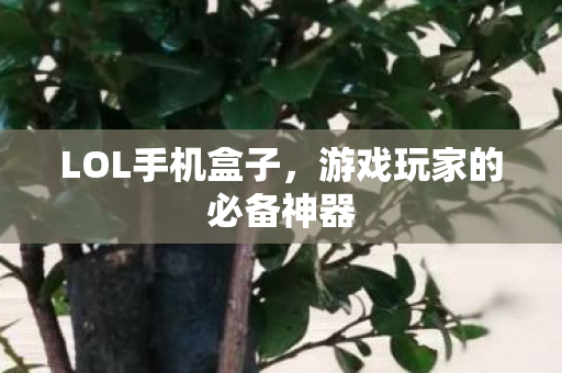 游戏玩家的必备神器图片