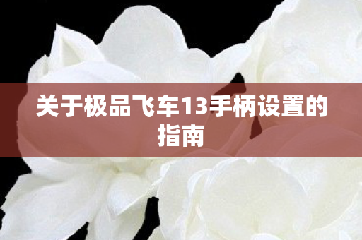 关于极品飞车13手柄设置的指南图片