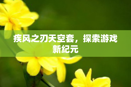 疾风之刃天空套图片
