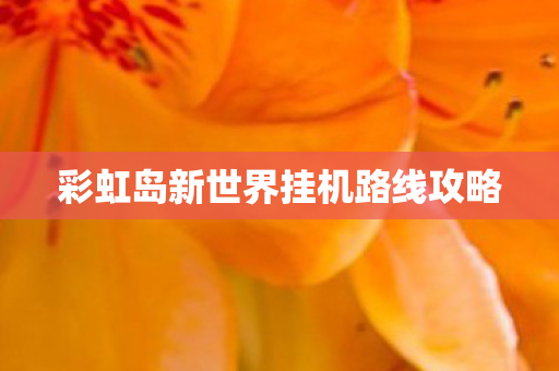 彩虹岛新世界挂机路线攻略图片