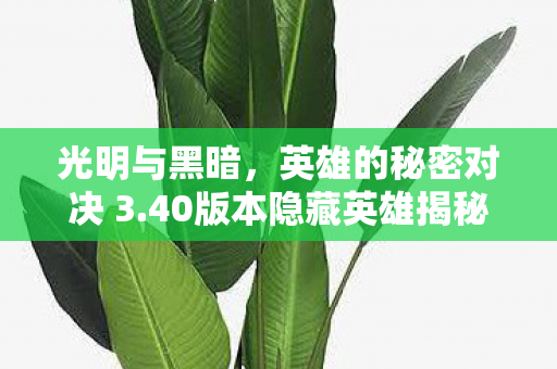40版本隐藏英雄揭秘图片