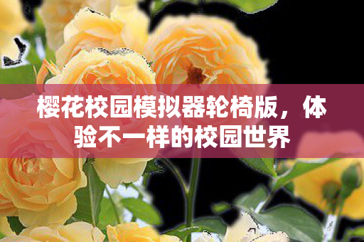 樱花校园模拟器轮椅版图片
