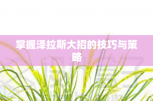 掌握泽拉斯大招的技巧与策略图片