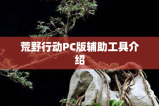 荒野行动PC版辅助工具介绍图片