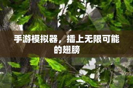 插上无限可能的翅膀图片