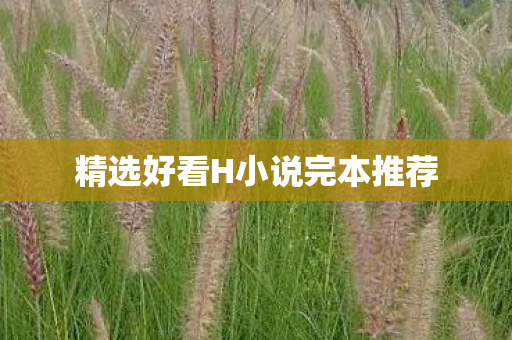 精选好看H小说完本推荐图片