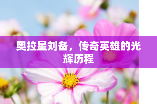 传奇英雄的光辉历程图片