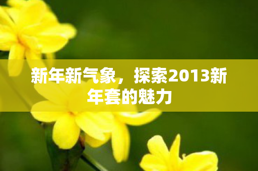 探索2013新年套的魅力图片