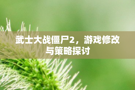 游戏修改与策略探讨图片