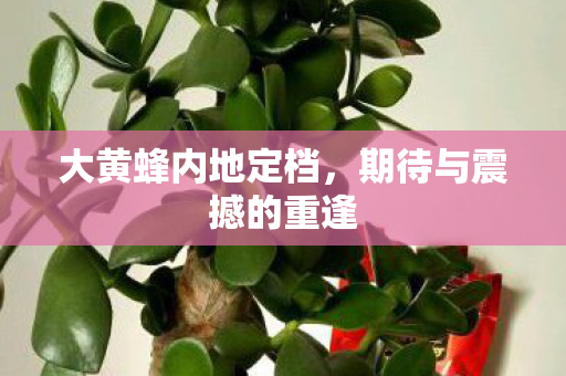 期待与震撼的重逢图片