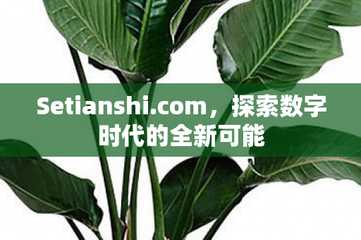 探索数字时代的全新可能图片