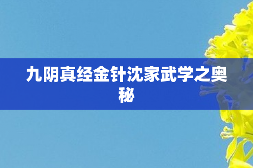 九阴真经金针沈家武学之奥秘图片