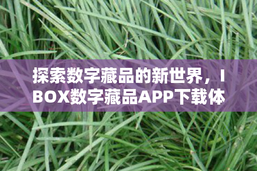 IBOX数字藏品APP下载体验图片
