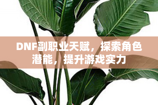 DNF副职业天赋图片
