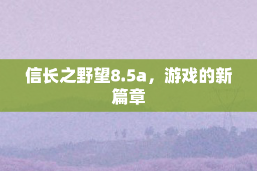 信长之野望8图片