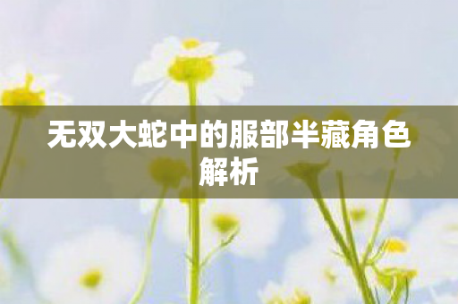 无双大蛇中的服部半藏角色解析图片