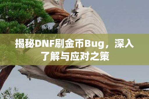 揭秘DNF刷金币Bug图片