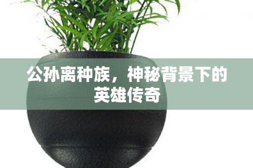 神秘背景下的英雄传奇图片