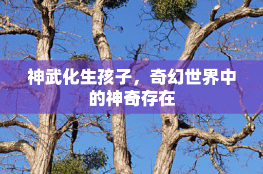奇幻世界中的神奇存在图片