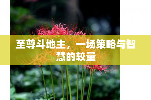 一场策略与智慧的较量图片
