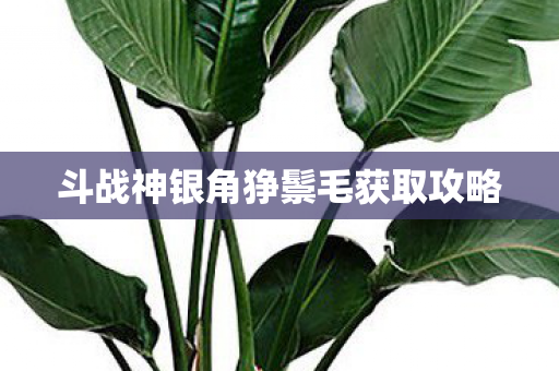 斗战神银角狰鬃毛获取攻略图片